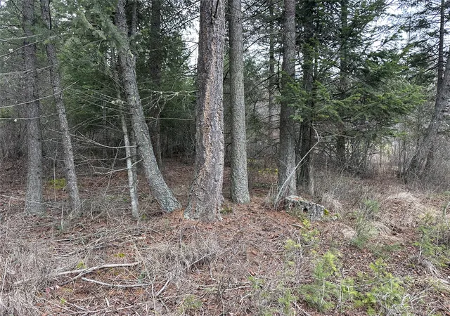 38th image of 66 Angel Point Rd, Lakeside, MT 59922 | MLS# 30065834