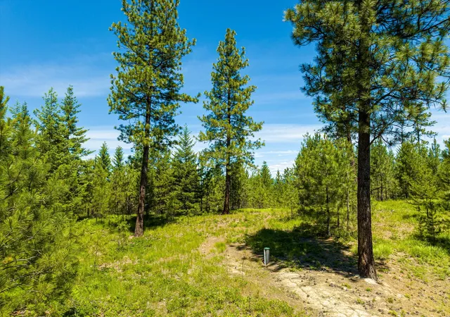 116th image of 40149 Us Hwy 2 W, Libby, MT 59923 | MLS# 30066029