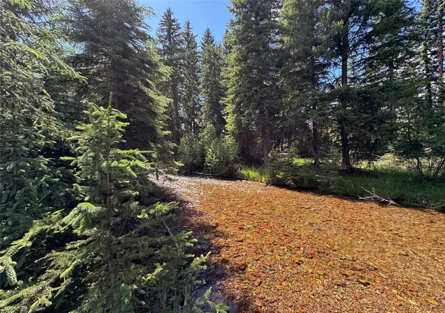 1st image of 265 N Canyon Dr, Seeley Lake, MT 59868 | MLS# 30066038
