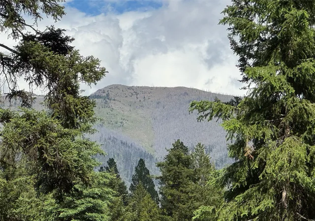 Photo 3 of Land for sale at 265 N Canyon Dr, Seeley Lake, MT 59868 | MLS# 30066038 | Listing updated on 2026-08-01