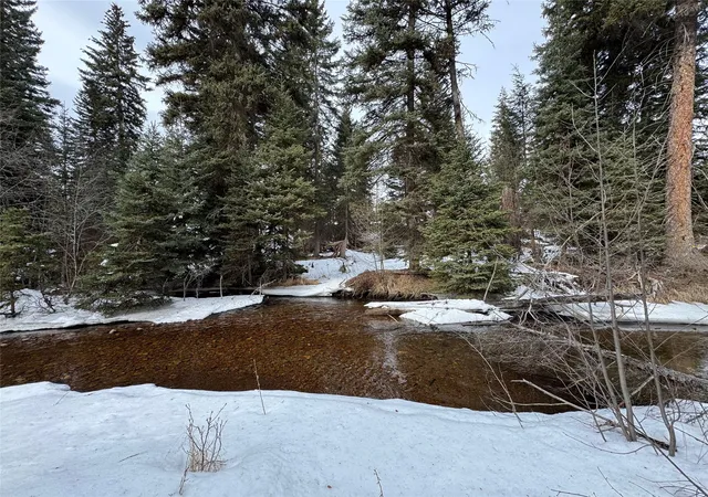 62nd image of 265 N Canyon Dr, Seeley Lake, MT 59868 | MLS# 30066038