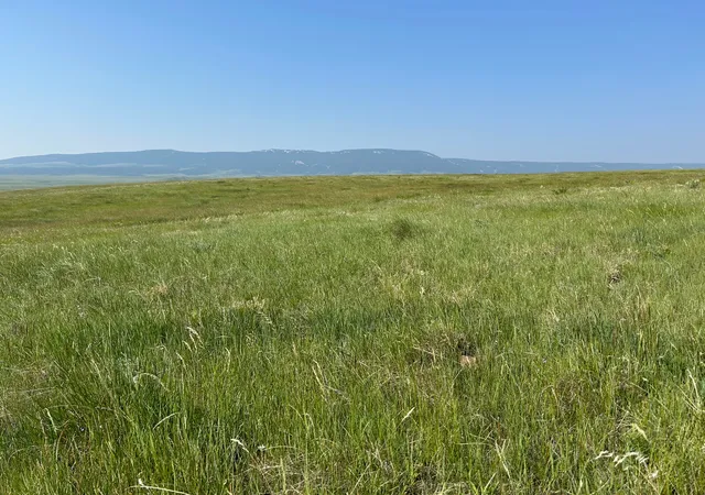 Homes for sale in Buffalo, MT | Tbd Ubet, Buffalo, MT 59418 | MLS# 30066080