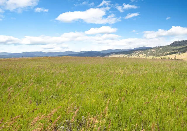 Homes for sale in Dayton, MT | Nhn Lake Mary Ronan Rd #Lot 2C, Dayton, MT 59914 | MLS# 30065844