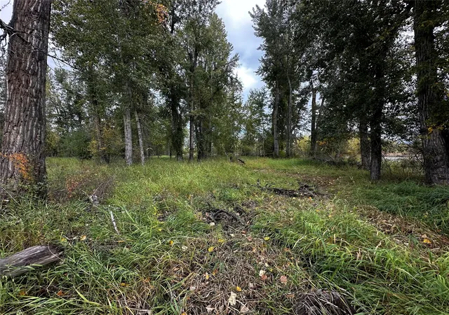 9th image of 002 Hwy 93 N, Hamilton, MT 59840 | MLS# 30066210