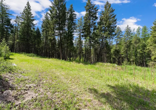 1st image of 433 Buffalo Trl, Somers, MT 59932 | MLS# 30065831