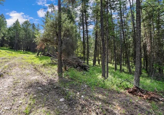 2nd image of 433 Buffalo Trl, Somers, MT 59932 | MLS# 30065831