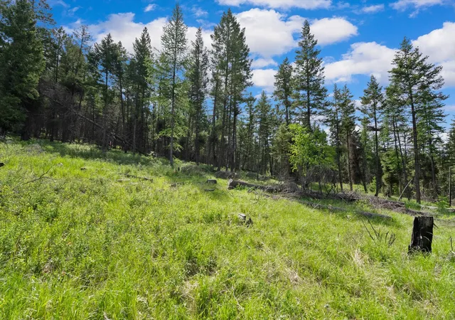 1st image of 437 Buffalo Trl, Somers, MT 59932 | MLS# 30065832