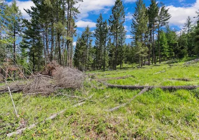 2nd image of 437 Buffalo Trl, Somers, MT 59932 | MLS# 30065832