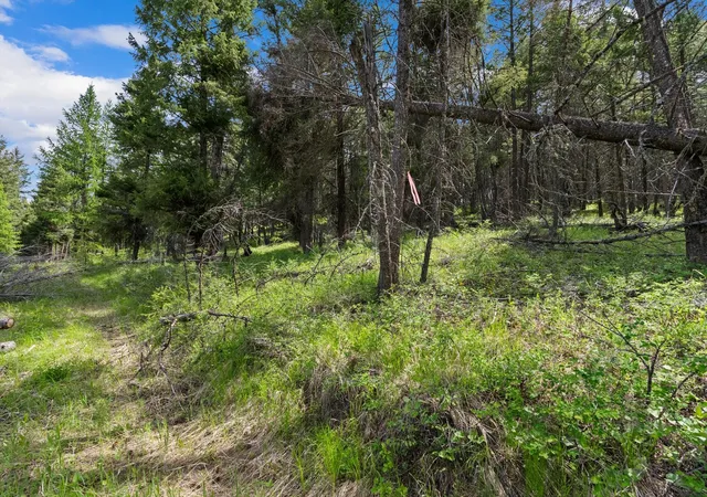 4th image of 437 Buffalo Trl, Somers, MT 59932 | MLS# 30065832