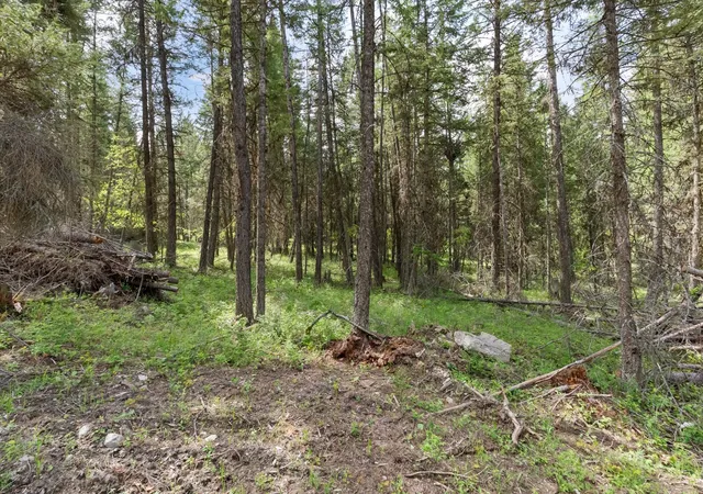 18th image of 439 Buffalo Trl, Somers, MT 59932 | MLS# 30065833