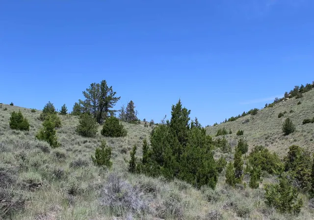 Homes for sale in Radersburg, MT | Tbd Silver Light Lode & Champion Lode, Radersburg, MT 59641 | MLS# 30066275