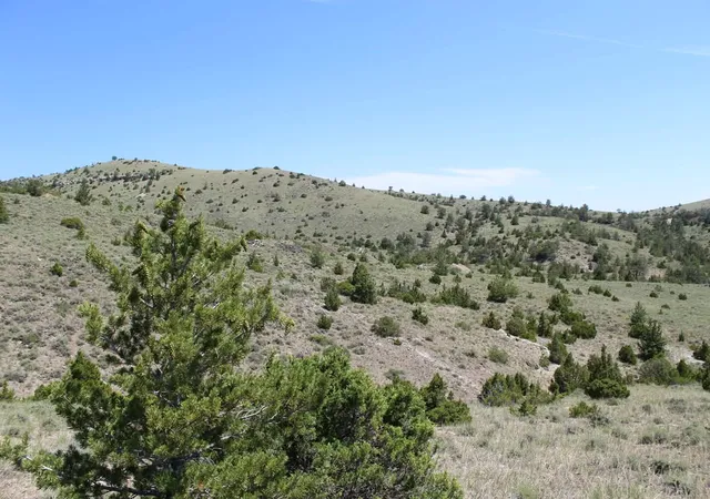 Homes for sale in Radersburg, MT | Tbd Silver Light Lode & Champion Lode, Radersburg, MT 59641 | MLS# 30066275
