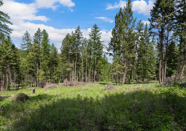 28th image of 433, 437 & 439 Buffalo Trl, Somers, MT 59932 | MLS# 30065830