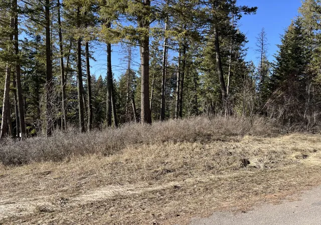 1st image of 137 Wood Ridge Dr, Columbia Falls, MT 59912 | MLS# 30066324