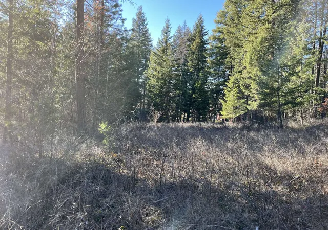 4th image of 137 Wood Ridge Dr, Columbia Falls, MT 59912 | MLS# 30066324