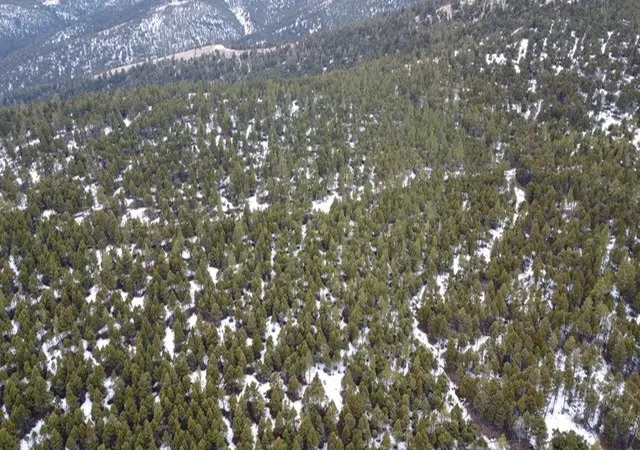 3rd image of Tbd Turk Rd, Helena, MT 59602 | MLS# 30066287