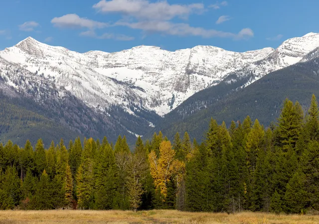 2nd image of 699 Glacier Elk Creek Rd, Condon, MT 59826 | MLS# 30066320