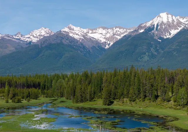 5th image of 699 Glacier-Elk Creek Rd, Condon, MT 59826 | MLS# 30066320
