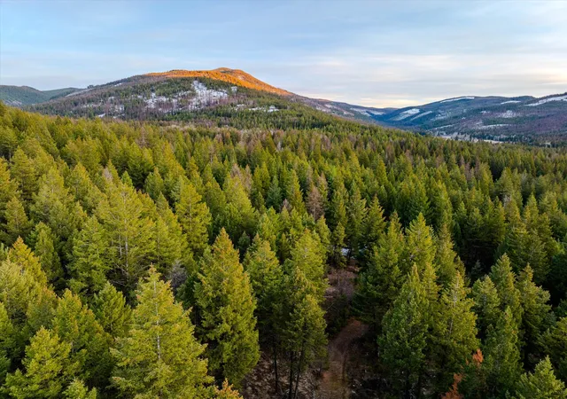 Photo 2 of Land for sale at 260 Wild Horse Trl, Kila, MT 59920 | MLS# 30066451 | Listing updated on 2026-07-22