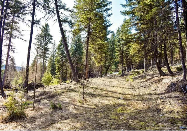Homes for sale in Fortine, MT | 270 Tomahawk Trl, Fortine, MT 59918 | MLS# 30066425