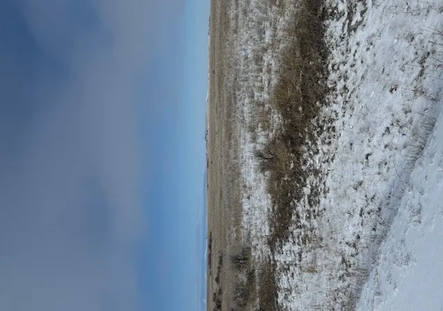 2nd image of Nhn Antelope Rd, Shawmut, MT 59078 | MLS# 30065626