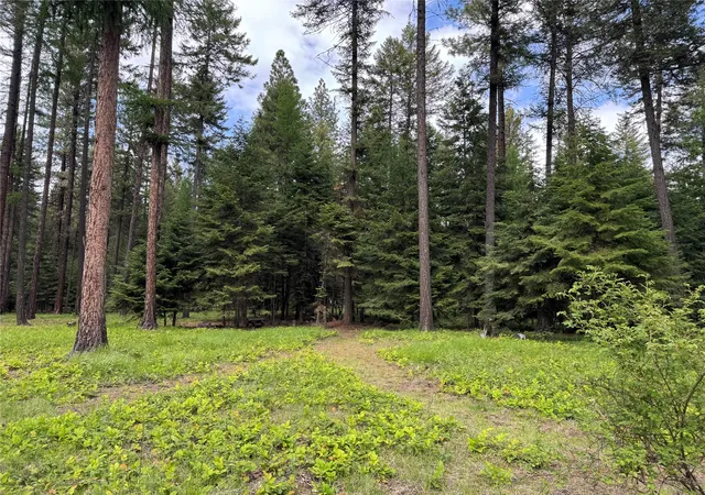Homes for sale in Thompson Falls, MT | 21 Country Club Ln, Thompson Falls, MT 59873 | MLS# 30066431