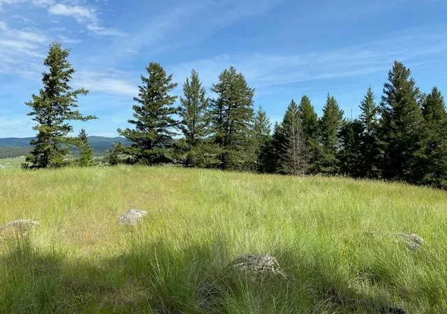 5th image of 116 Prairie Ln, Kalispell, MT 59901 | MLS# 30066523