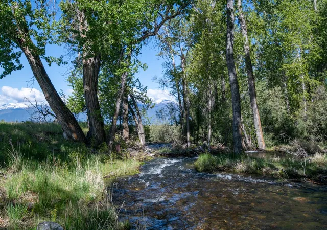 1st image of 25 A Drovers Trl, Stevensville, MT 59870 | MLS# 30066194