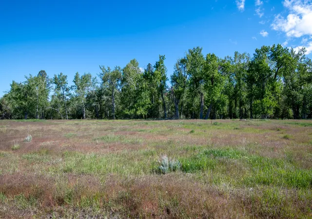 3rd image of 25-A Drovers Trl, Stevensville, MT 59870 | MLS# 30066194