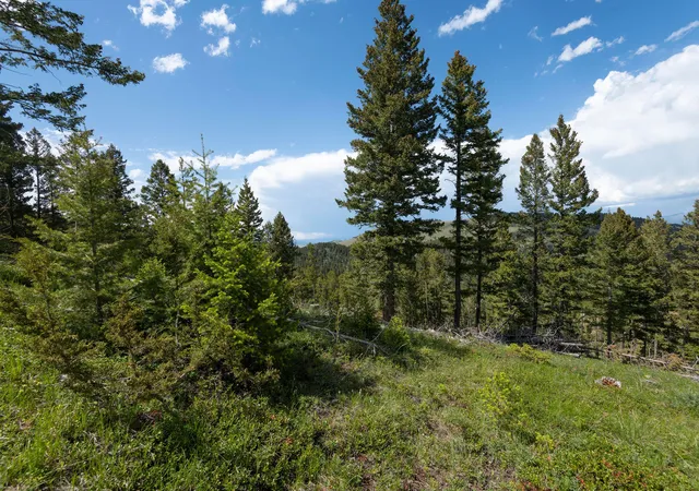 Homes for sale in Clancy, MT | 53 Skihi Peak, Clancy, MT 59634 | MLS# 30066655