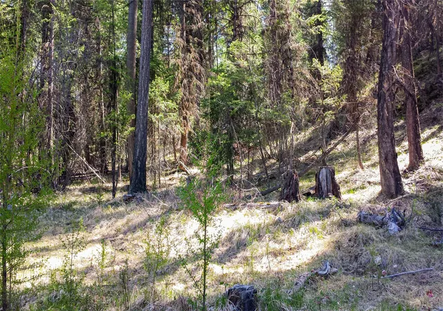 Homes for sale in Fortine, MT | Lot 7 Whispering Pines, Fortine, MT 59918 | MLS# 30066719