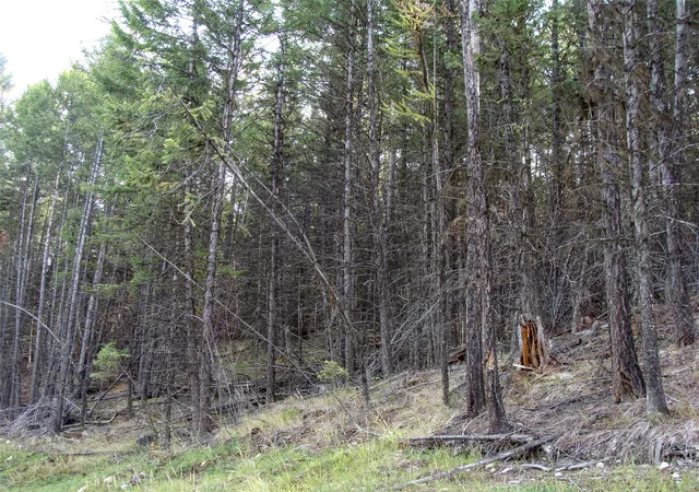 Homes for sale in Fortine, MT | Lot 7 Whispering Pines, Fortine, MT 59918 | MLS# 30066719