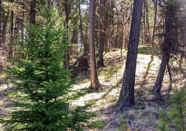 Homes for sale in Fortine, MT | Lot 7 Whispering Pines, Fortine, MT 59918 | MLS# 30066719