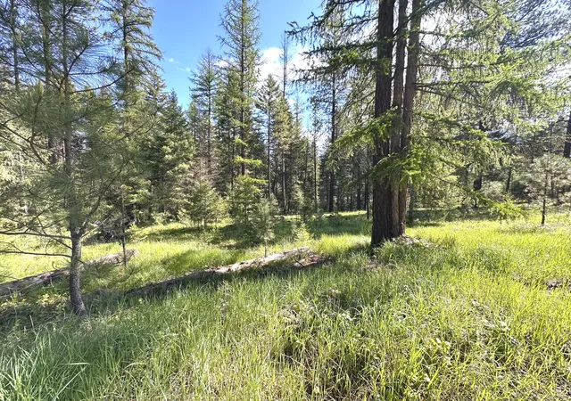 Homes for sale in Thompson Falls, MT | 71 Osprey Dr E, Thompson Falls, MT 59873 | MLS# 30066564