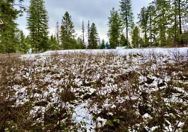 Homes for sale in Thompson Falls, MT | 2517 Mossy Rock Court Lot 5, Thompson Falls, MT 59873 | MLS# 30065962