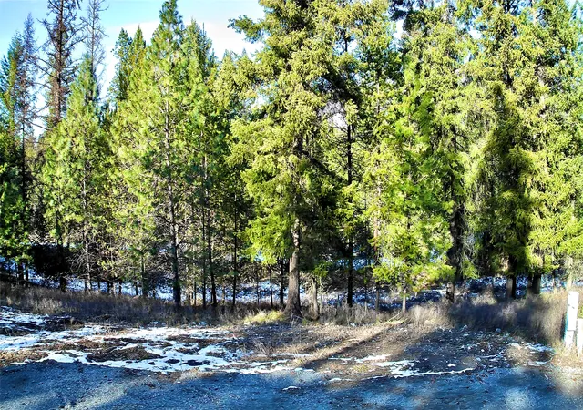 Homes for sale in Thompson Falls, MT | 2517 Mossy Rock Court Lot 5, Thompson Falls, MT 59873 | MLS# 30065962