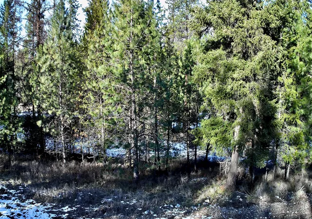 Homes for sale in Thompson Falls, MT | 2517 Mossy Rock Court Lot 5, Thompson Falls, MT 59873 | MLS# 30065962