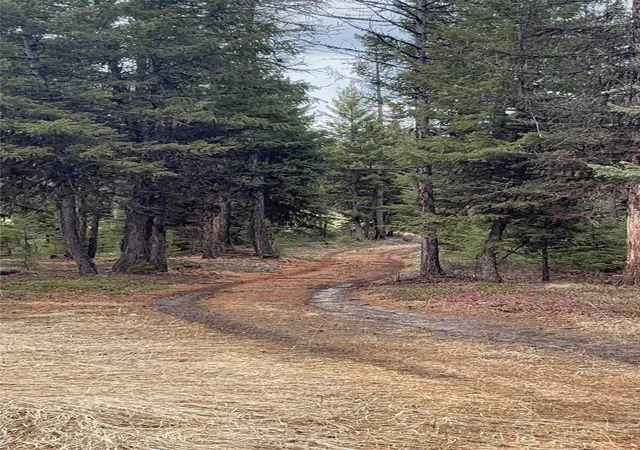 23rd image of 48 Slick Gulch Rd, Rexford, MT 59930 | MLS# 30066635