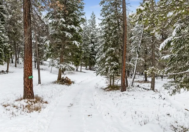 Homes for sale in Fortine, MT | Lot 3 Moose Farm, Fortine, MT 59918 | MLS# 30066887