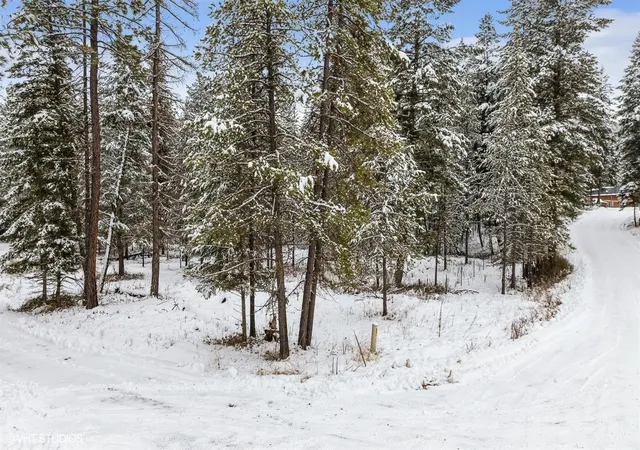 Homes for sale in Fortine, MT | Lot 3 Moose Farm, Fortine, MT 59918 | MLS# 30066887