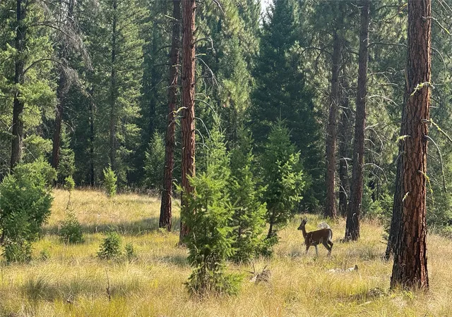1st image of Nhn Hwy 37, Libby, MT 59923 | MLS# 30066892