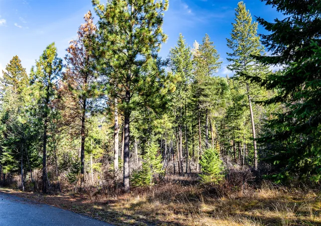 16th image of Nhn Elkridge Dr, Bigfork, MT 59911 | MLS# 30066895