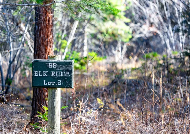 4th image of Nhn Elkridge Dr, Bigfork, MT 59911 | MLS# 30066895