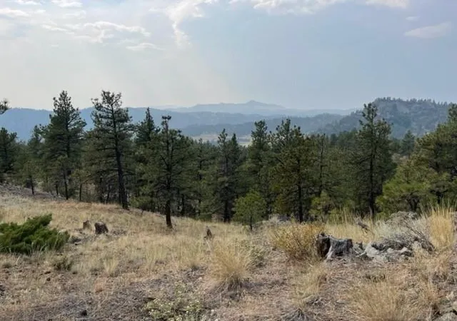 Homes for sale in Cascade, MT | Tbd Mountain Home Lane, Cascade, MT 59421 | MLS# 30066980