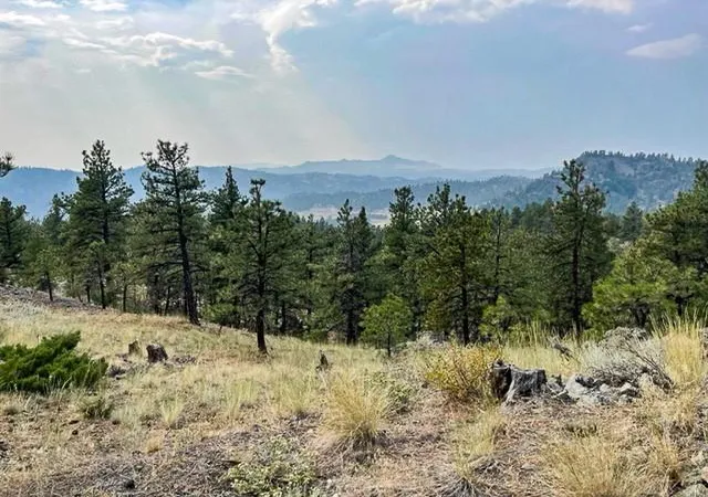 Homes for sale in Cascade, MT | Tbd Mountain Home Lane, Cascade, MT 59421 | MLS# 30066980