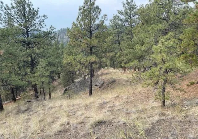 Homes for sale in Cascade, MT | Tbd Mountain Home Lane, Cascade, MT 59421 | MLS# 30066980