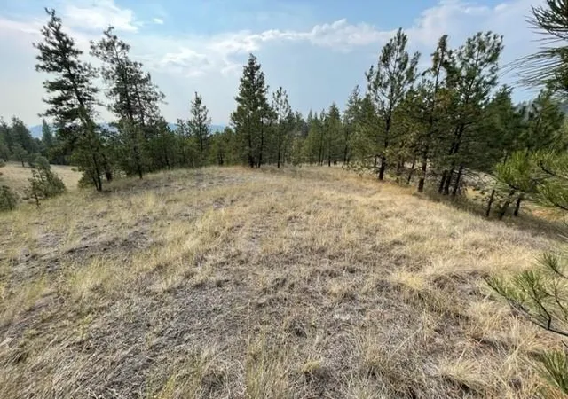 Homes for sale in Cascade, MT | Tbd Mountain Home Lane, Cascade, MT 59421 | MLS# 30066980