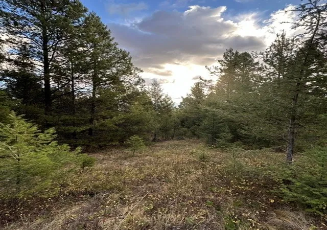 Homes for sale in Philipsburg, MT | Lot 10 Black Pine Meadows Subdivision, Philipsburg, MT 59858 | MLS# 30066981