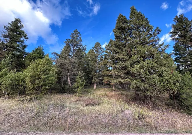 Homes for sale in Philipsburg, MT | Lot 10 Black Pine Meadows Subdivision, Philipsburg, MT 59858 | MLS# 30066981