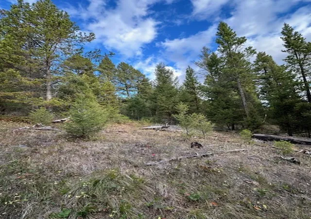 Homes for sale in Philipsburg, MT | Lot 10 Black Pine Meadows Subdivision, Philipsburg, MT 59858 | MLS# 30066981